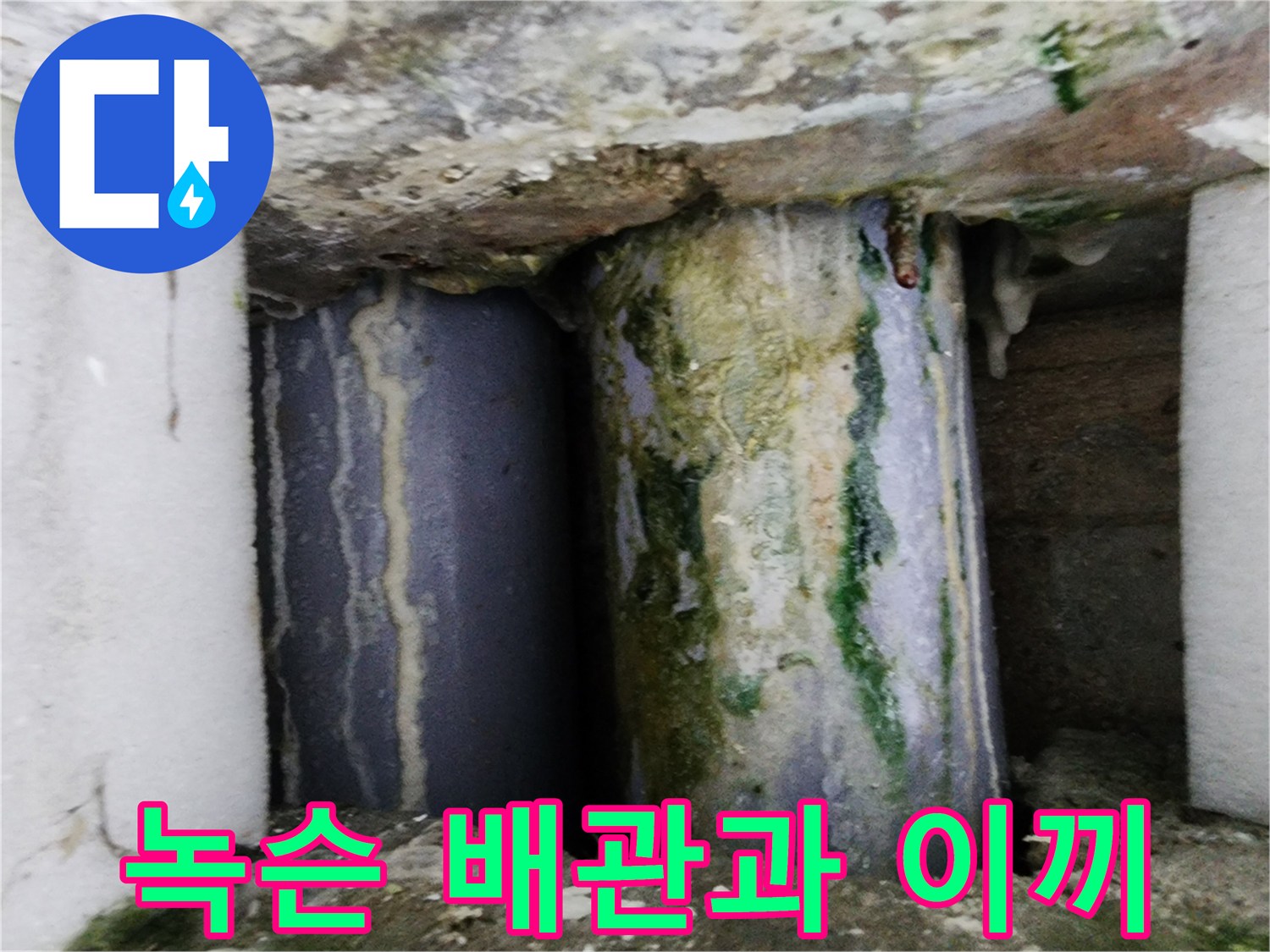 녹물이 흐른 자국과 초록색 이끼가 낀 배관 부위