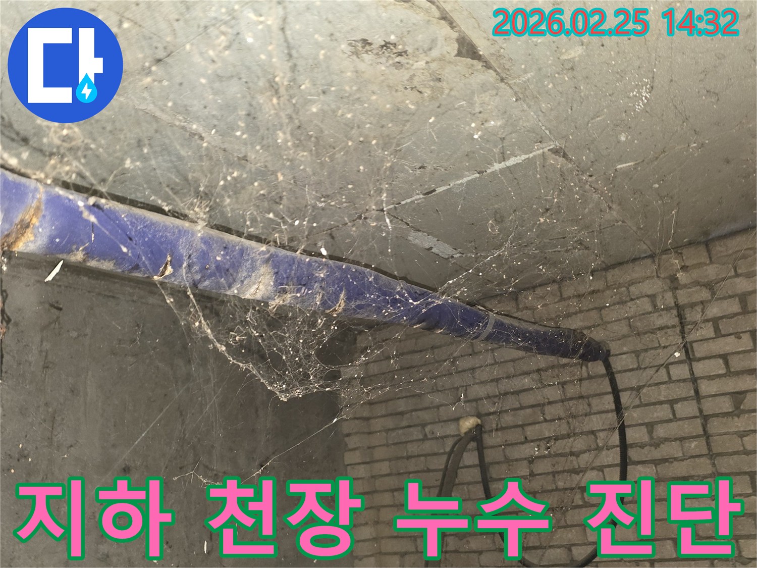 강동구 진황도로 인근-건물 지하의 콘크리트 천장과-벽돌 벽에-거미줄이 가득한-누수 진단 전-현장 상황을 보여주는 사진입니다.