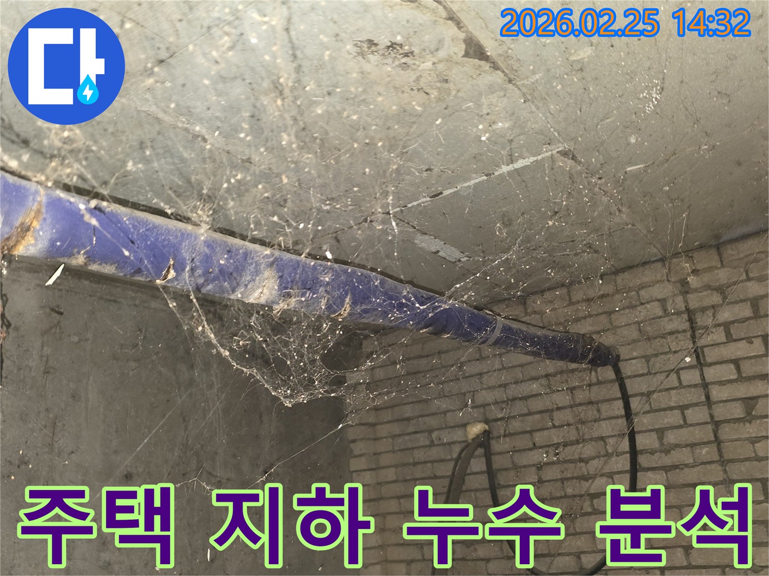 강동구 진황도로 인근 주택-지하 천장에 거미줄이 엉켜있는-누수 현장 정밀 분석 전-현장 준비 모습을 담은 사진입니다.