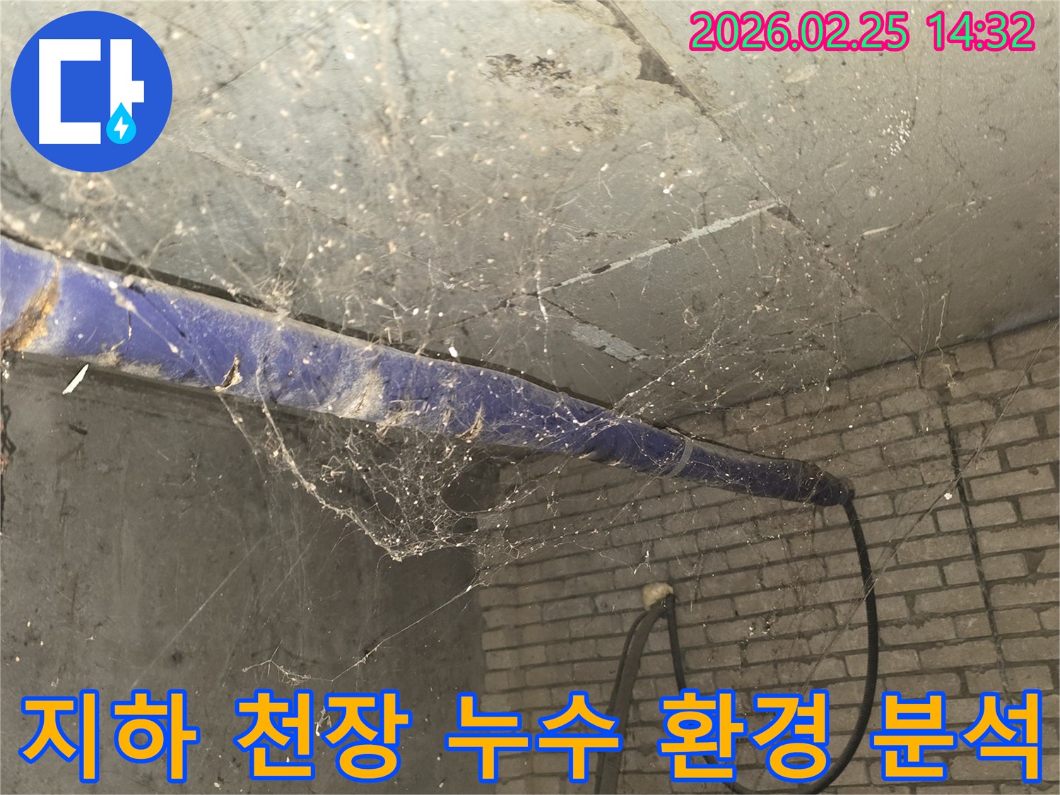 강동구 진황도로 인근-지하 공간의 천장-거미줄과 먼지가 가득한-누수 정밀 탐지 전 환경 분석 사진입니다.