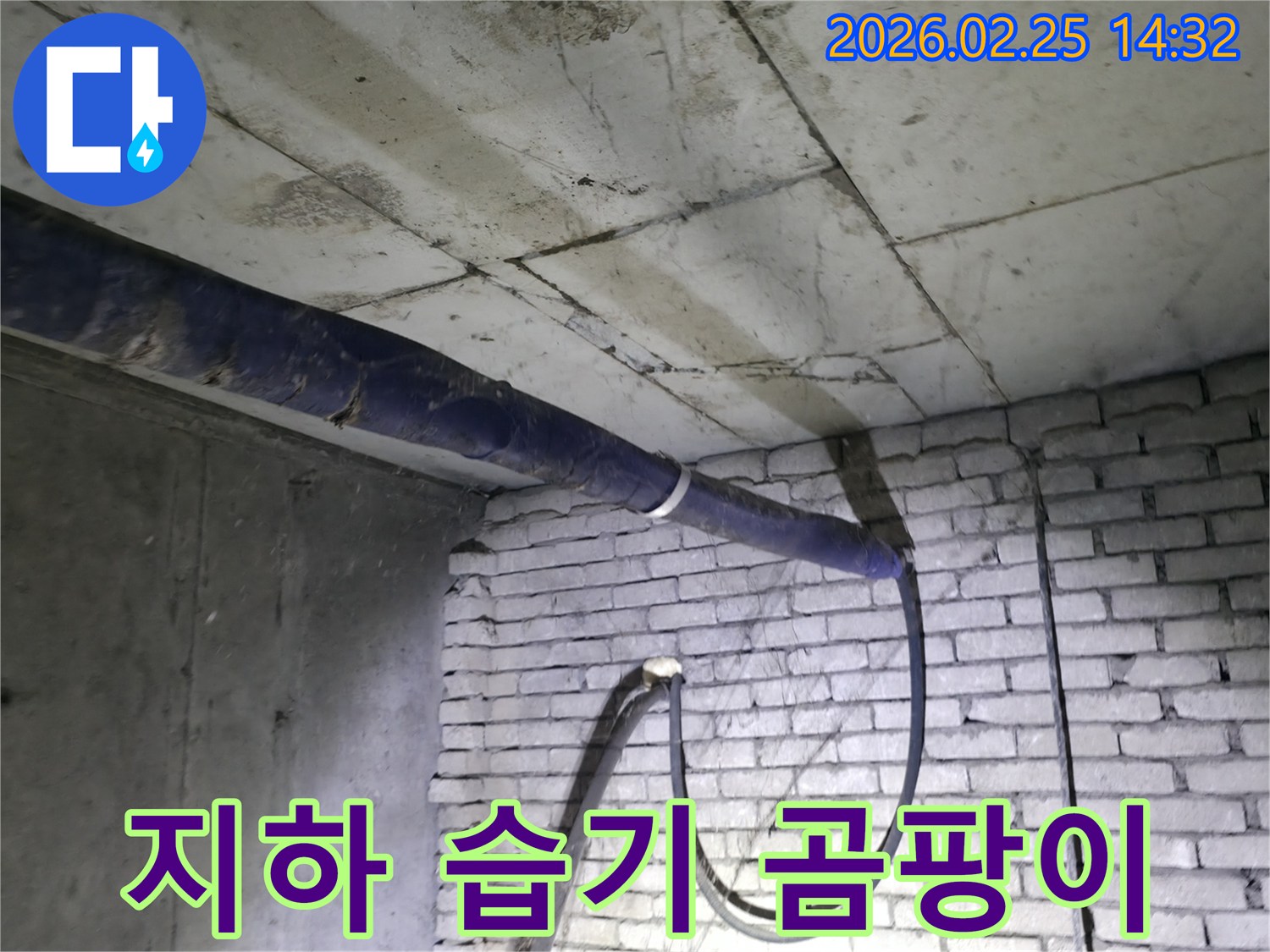 강동구의-지하 공간에-누수로 인한 습기와-곰팡이 발생 가능성을-전문가가 점검하는 모습