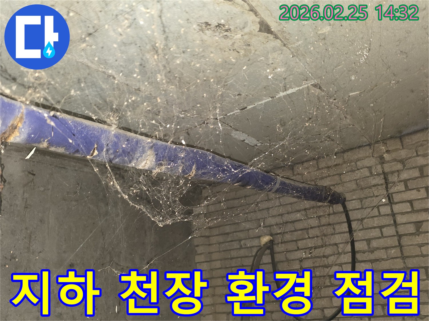 서울 강동구 진황도로 인근-건물 지하 천장에-거미줄과 먼지가 쌓여있는-누수 탐지 전-현장 환경 점검 모습입니다.