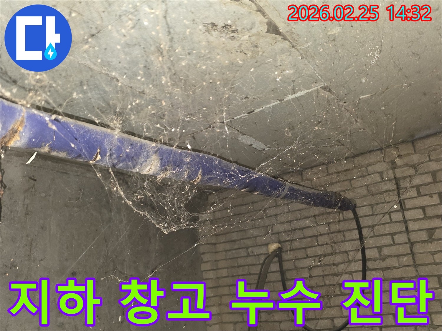 서울 강동구 진황도로 인근-지하 창고 천장에-거미줄과 먼지가 가득한-누수 정밀 진단 전-현장 상황을 담은 사진입니다.