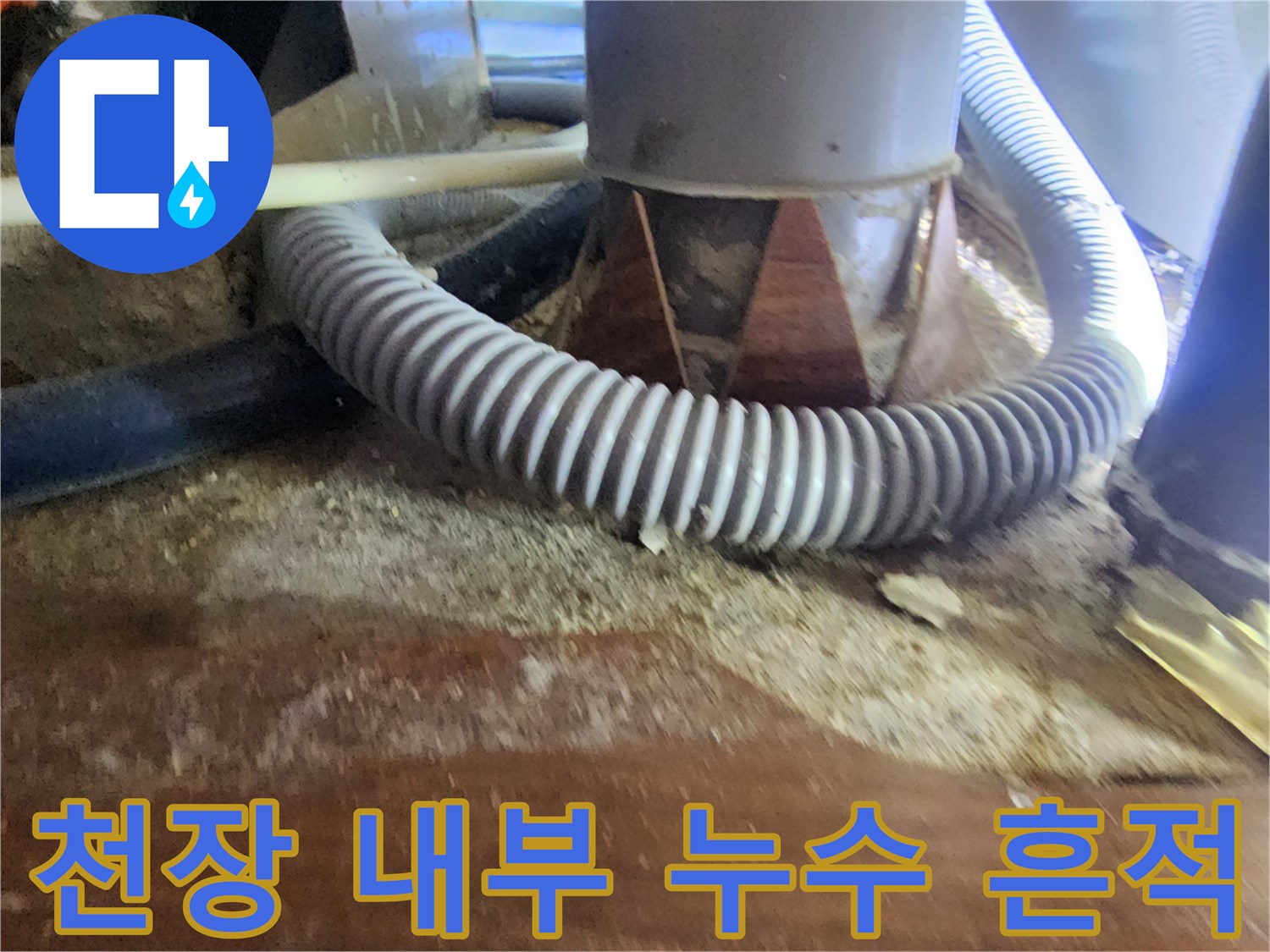 물에 젖어 변색된 천장 목재와 주름 형태의 배관 구조