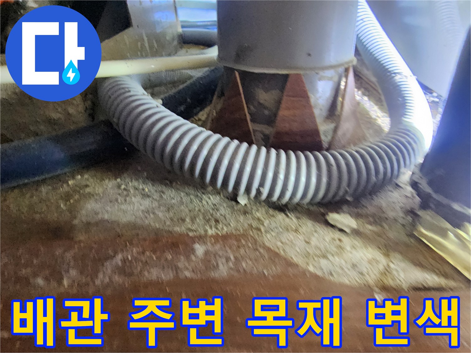천장 내부 배관 주변의 젖은 나무 마감재와 회색 주름관