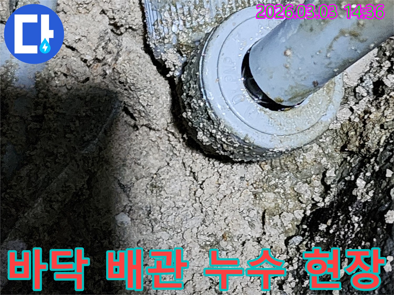 누수-탐지-후-발견된-배관-손상-부위의-실제-사진