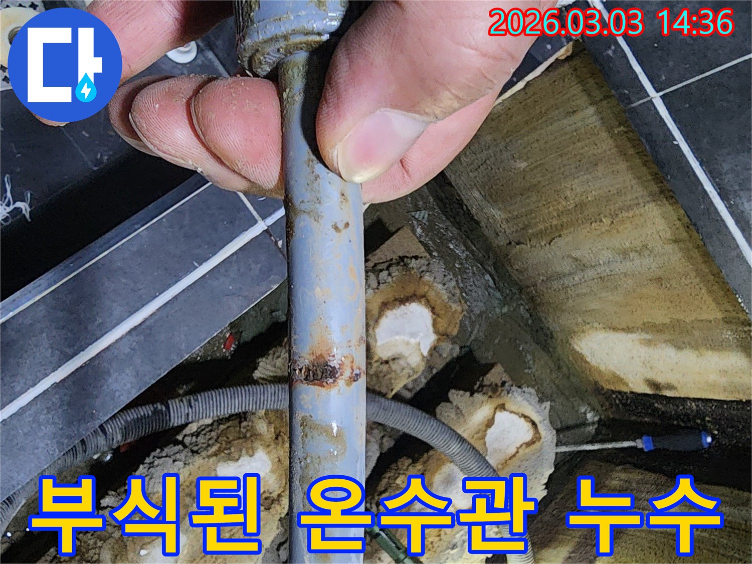 전문가가-누수 탐지 중-녹슨 배관을-발견한 순간
