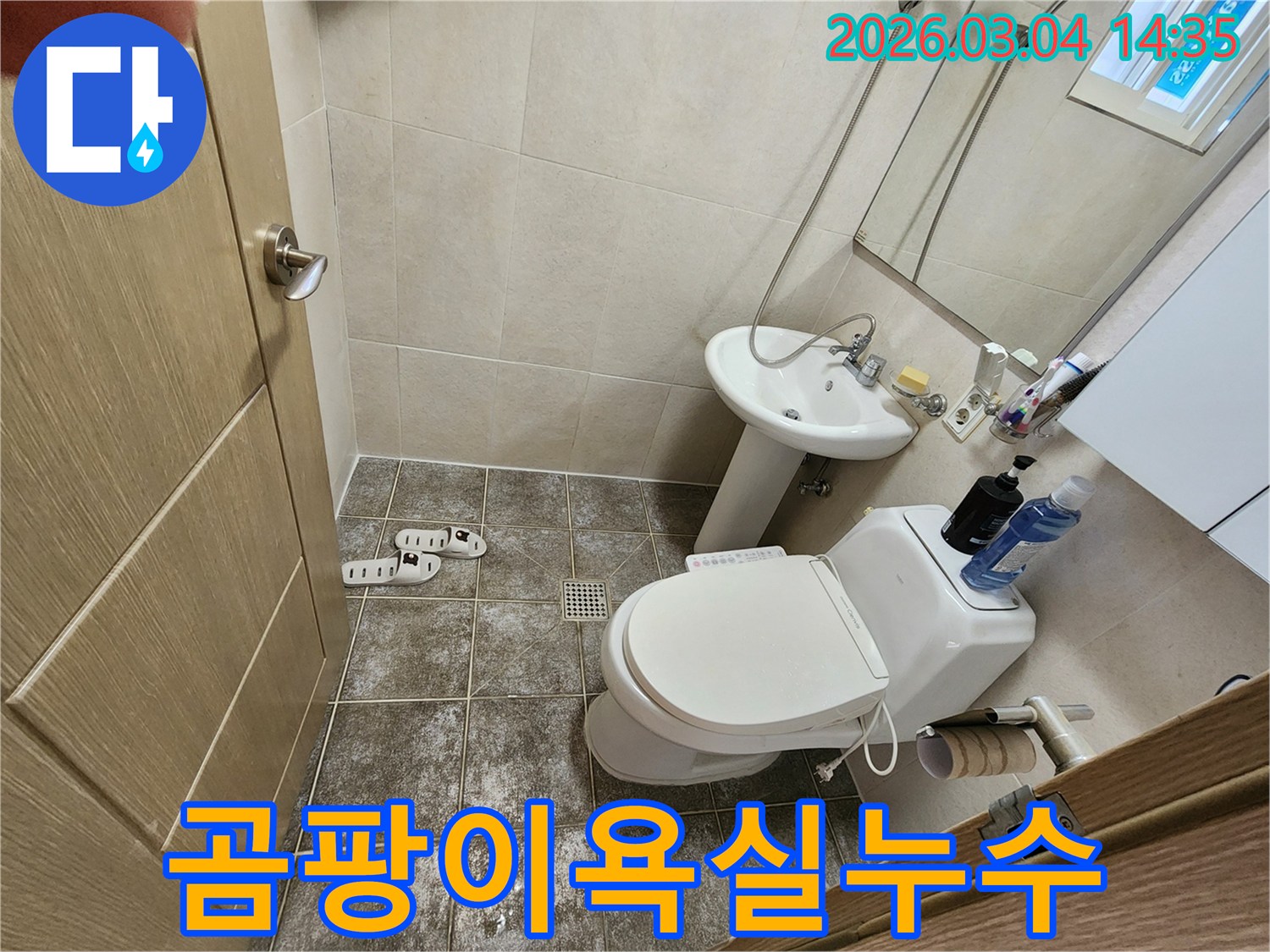 경기-광주시-초월읍-양지길-54-욕실-바닥-타일-주변에-곰팡이가-발생한-누수-의심-현장-사진
