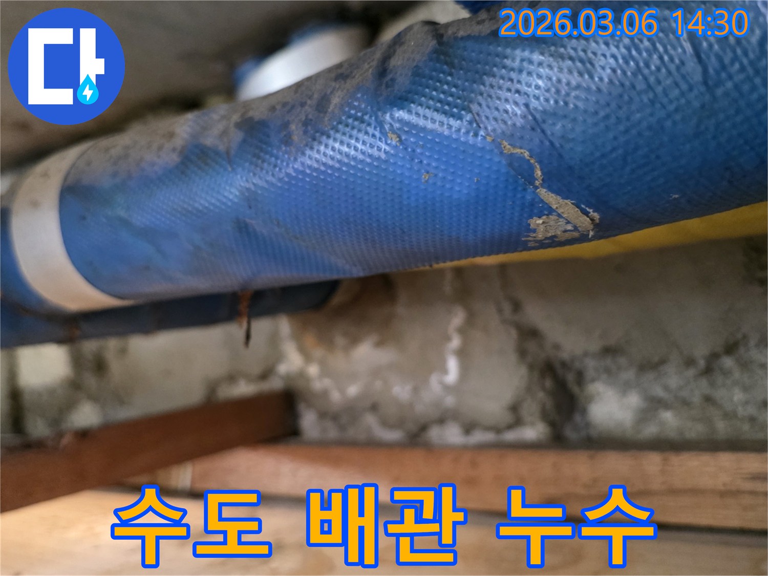 주택 내부-파란색 수도 배관과-젖은 콘크리트 벽면-그리고 나무 지지대를-정밀하게 점검하는 모습