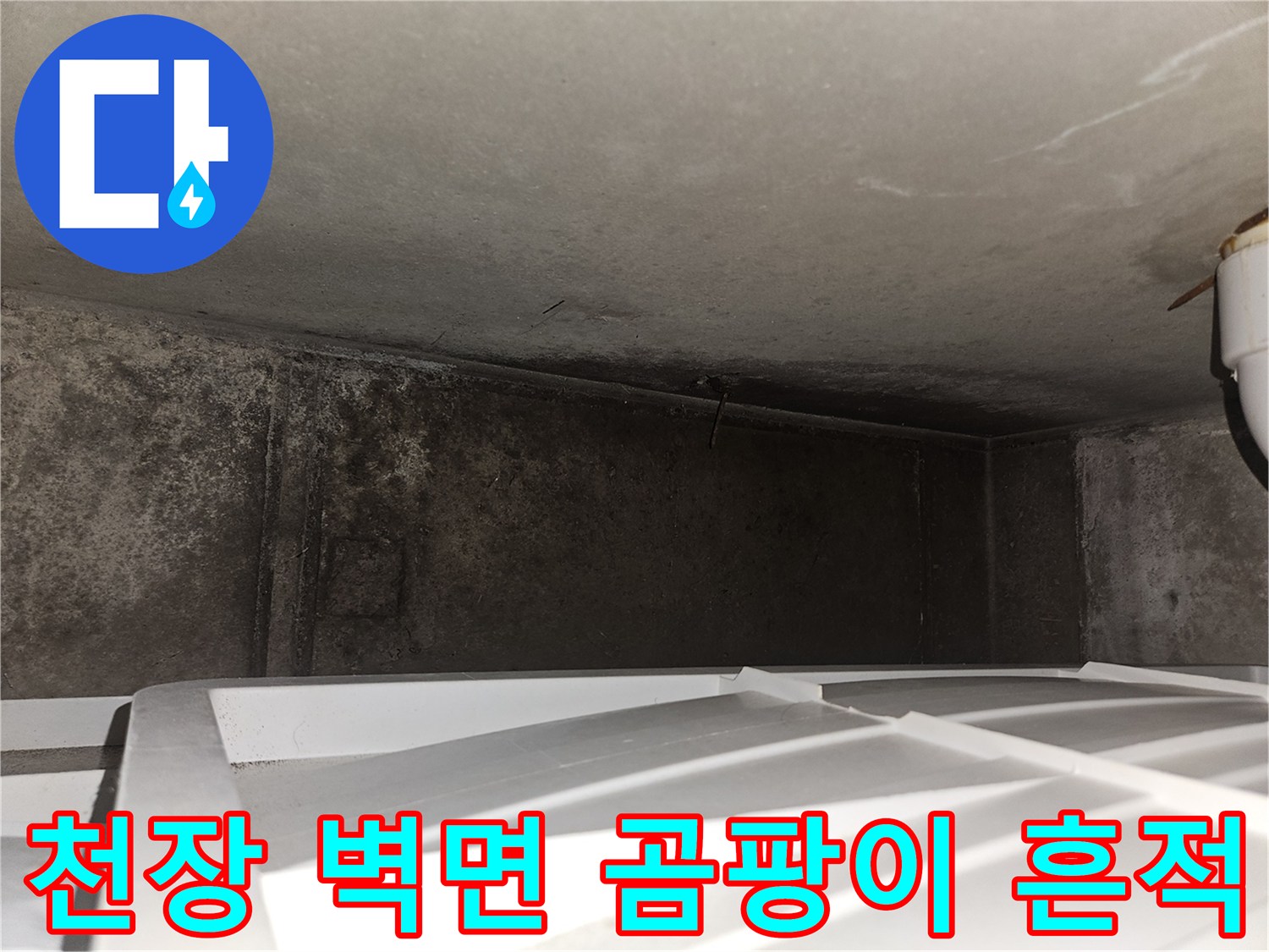 아랫집 거실 천장 슬래브-벽면에 발생한 곰팡이와 습기 상태