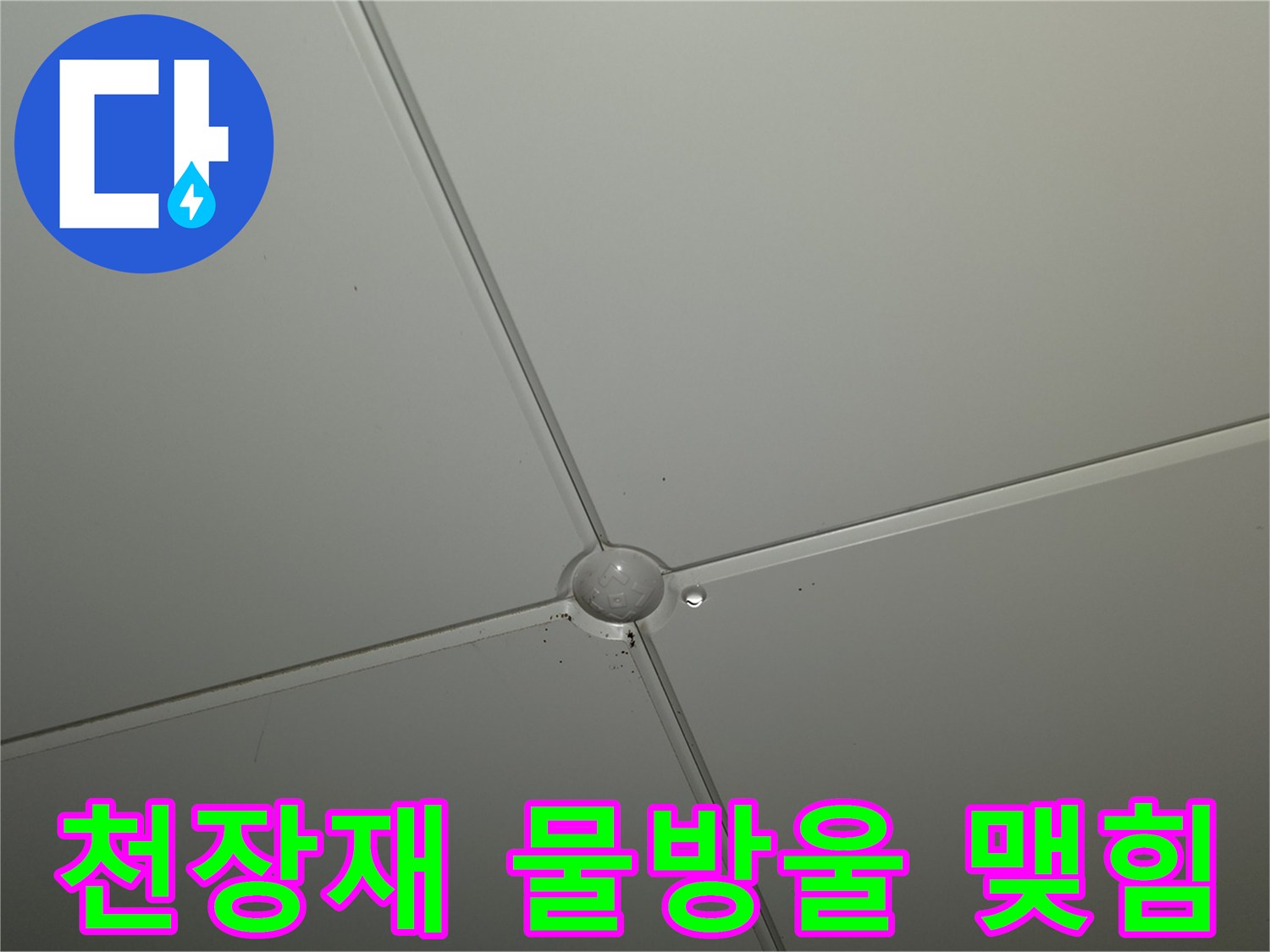 천장-마감재-중앙-누수-의심-부위