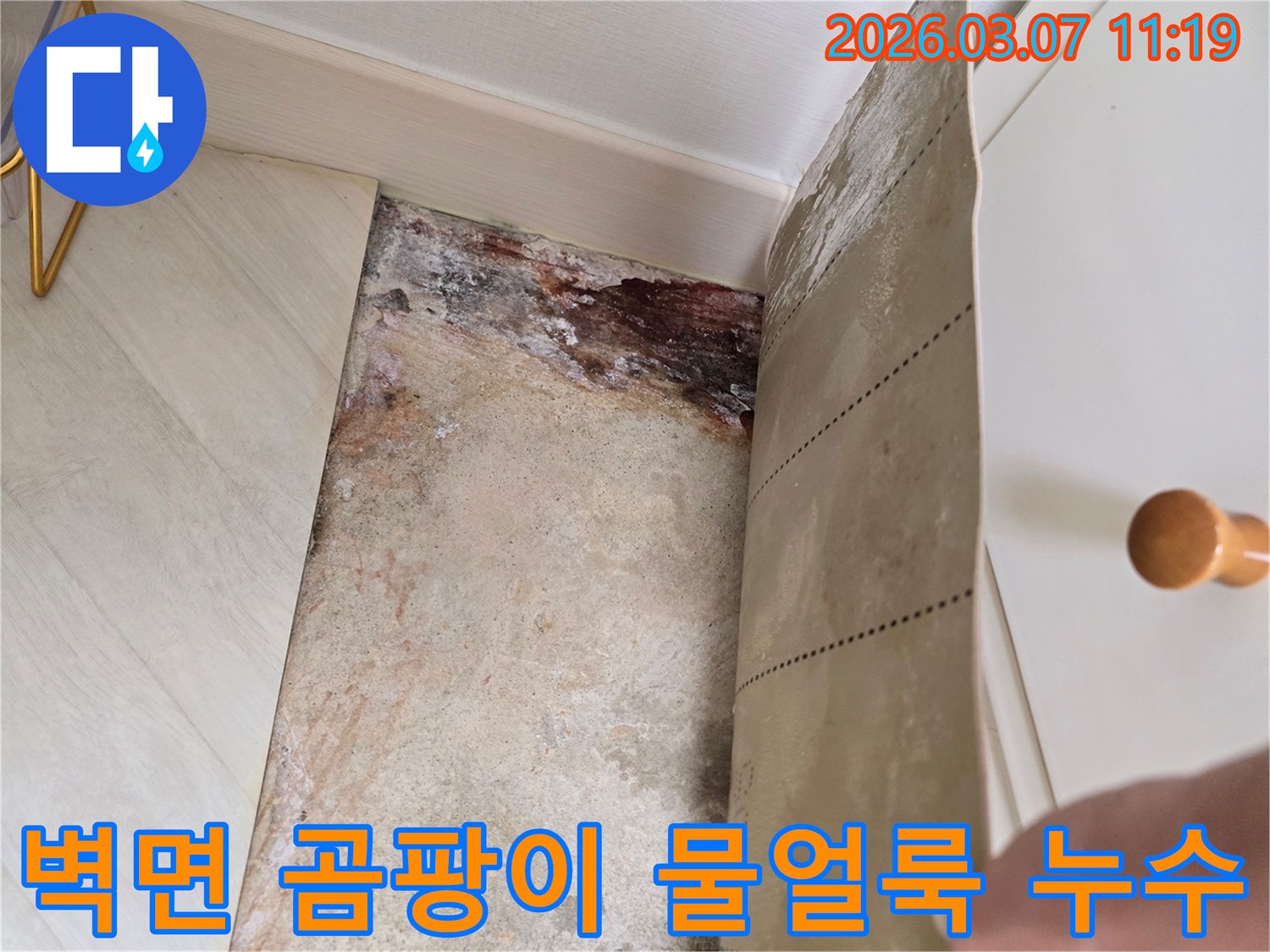 벽지를 제거한 후 발견된 심각한 물얼룩과-곰팡이로 오염된 벽면의 상세 이미지