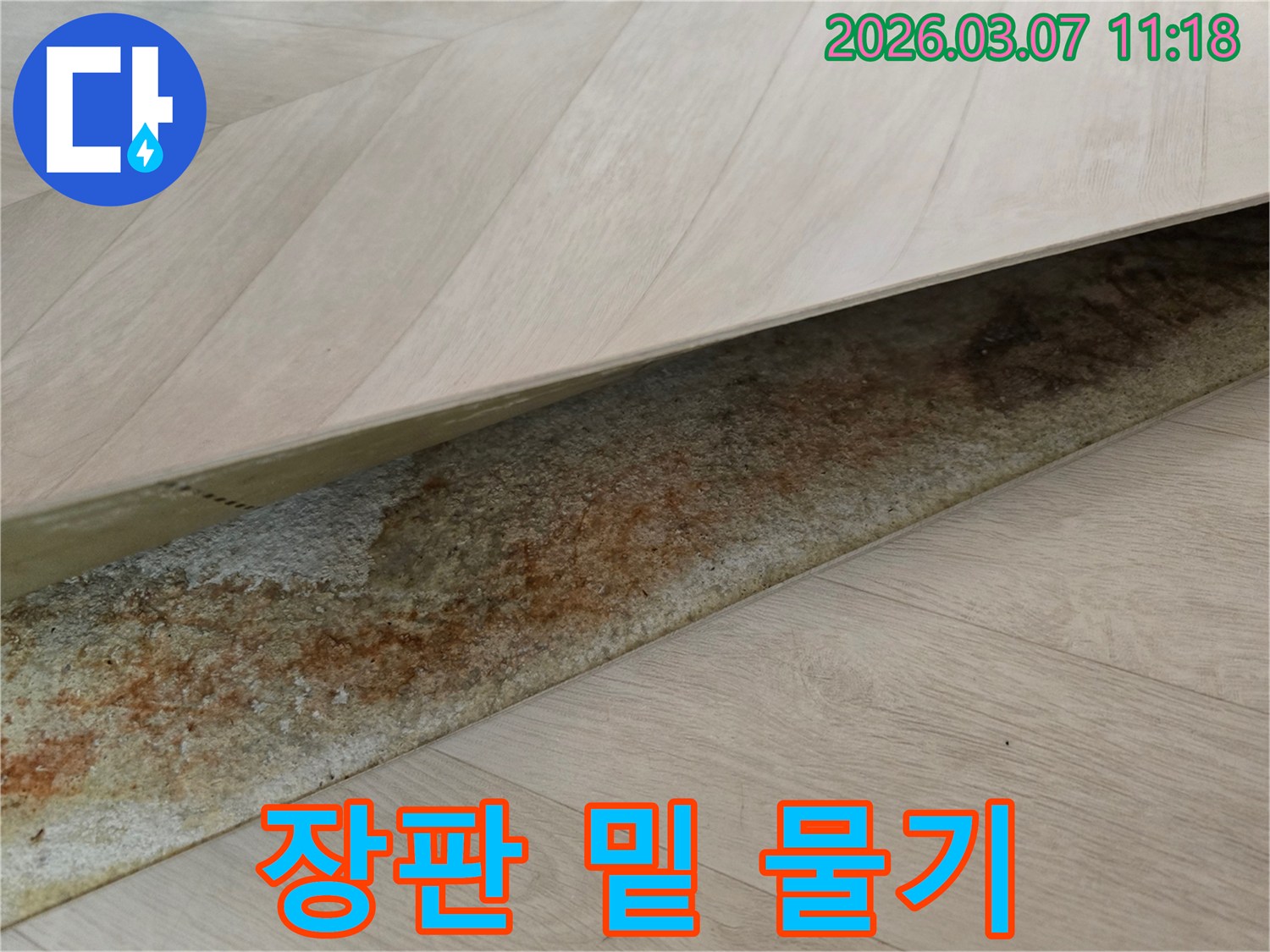 상가 장판 아래에서-오랜 누수로 인해 생긴-물고임과 변색이 선명하게 보이는 이미지