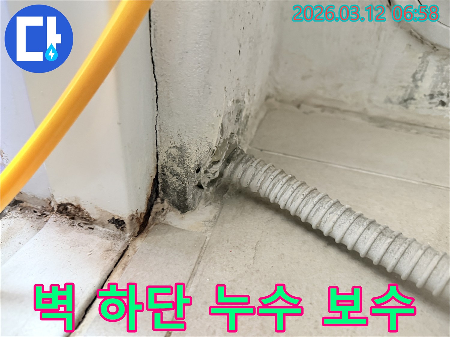 마포구-서교동-빌라-벽-하단부의-심각한-누수-흔적과-곰팡이-상태-사진