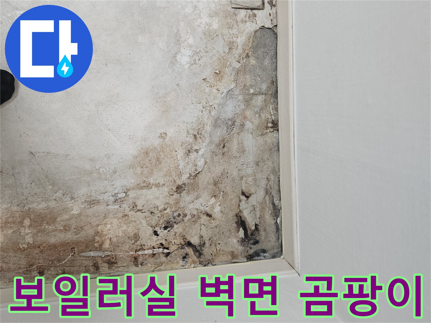 보일러실-벽면에-발생한-심한-곰팡이와-습기-흔적