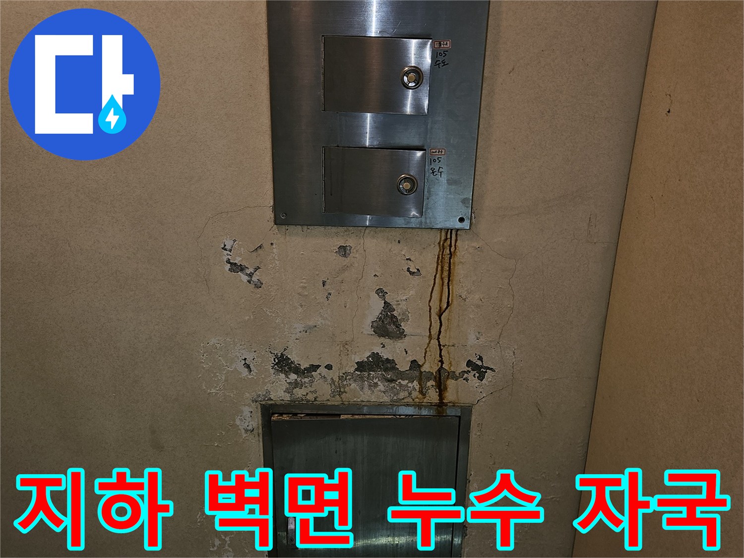 분당-구미동-빌라-지하층-배관함체-주변-누수-흔적