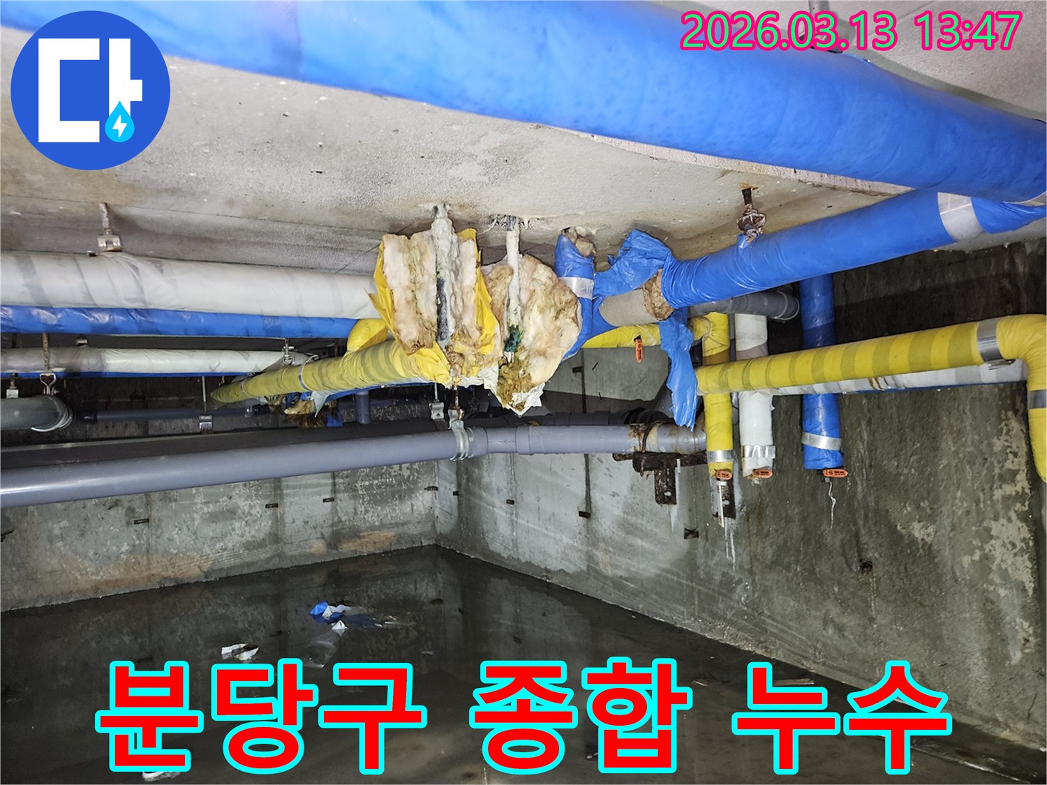 분당구-전역의-누수-문제를-종합적으로-진단하고-영구적인-해결책을-제공하는-현장