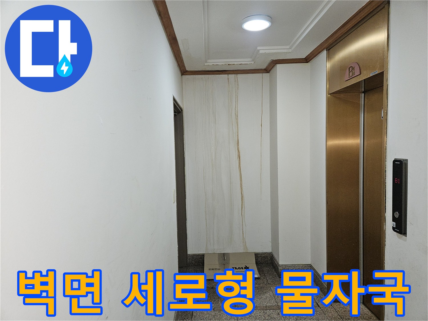 빌라 지하 엘리베이터 옆 벽면에 나타난 누수 및 습기 자국