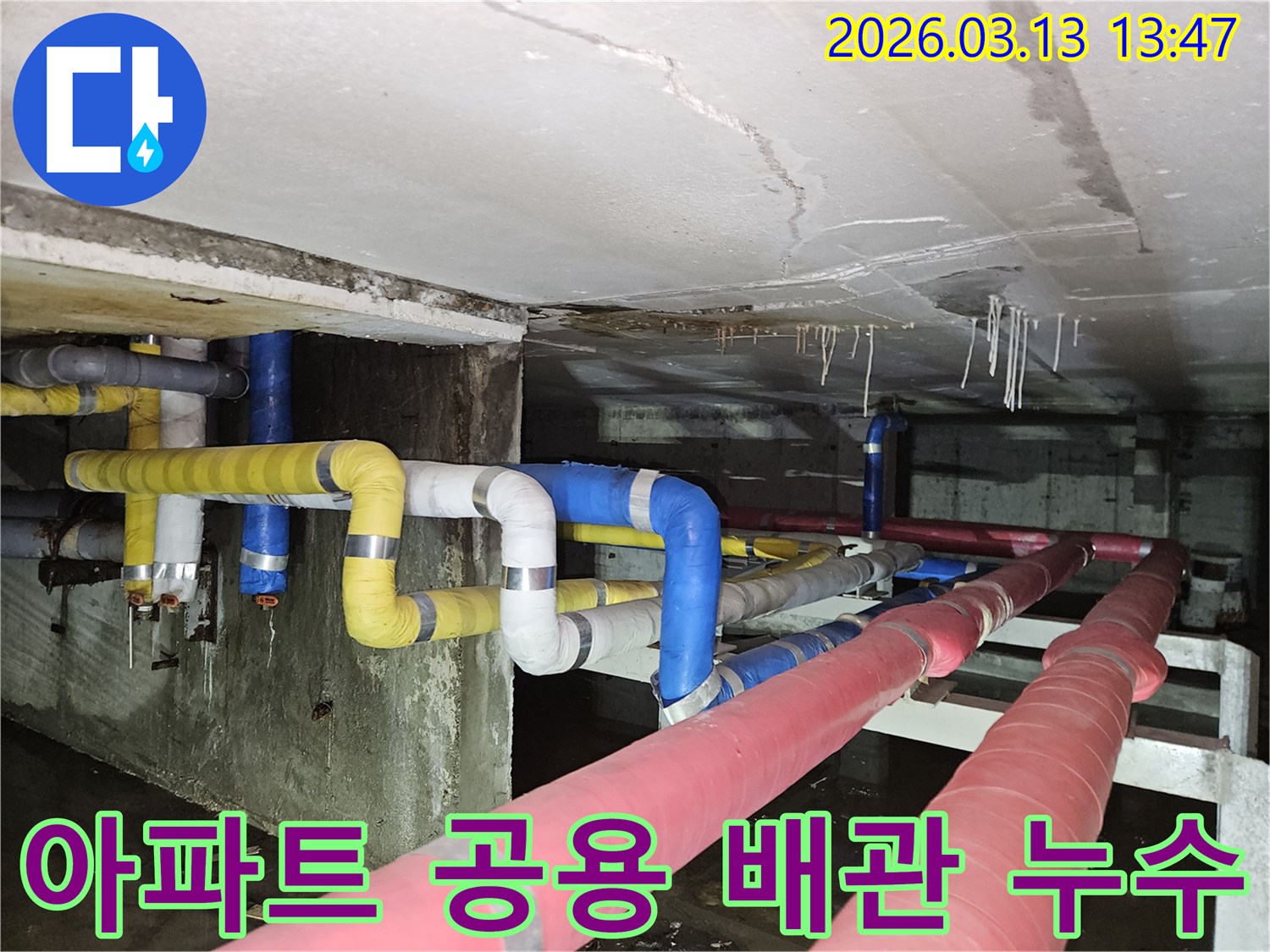 아파트 지하의-복잡한 공용 배관들 사이에서-누수가 발생하여-천장과 바닥에-물이 고인 현장을-보여주는 사진