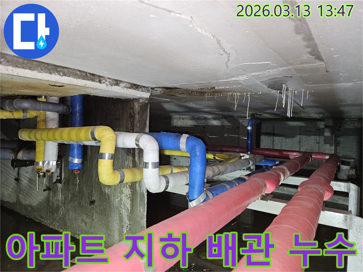 아파트 지하의-복잡한 배관들 사이에서-누수가 발생하여-천장과 바닥에-물이 고인 현장을-보여주는 사진