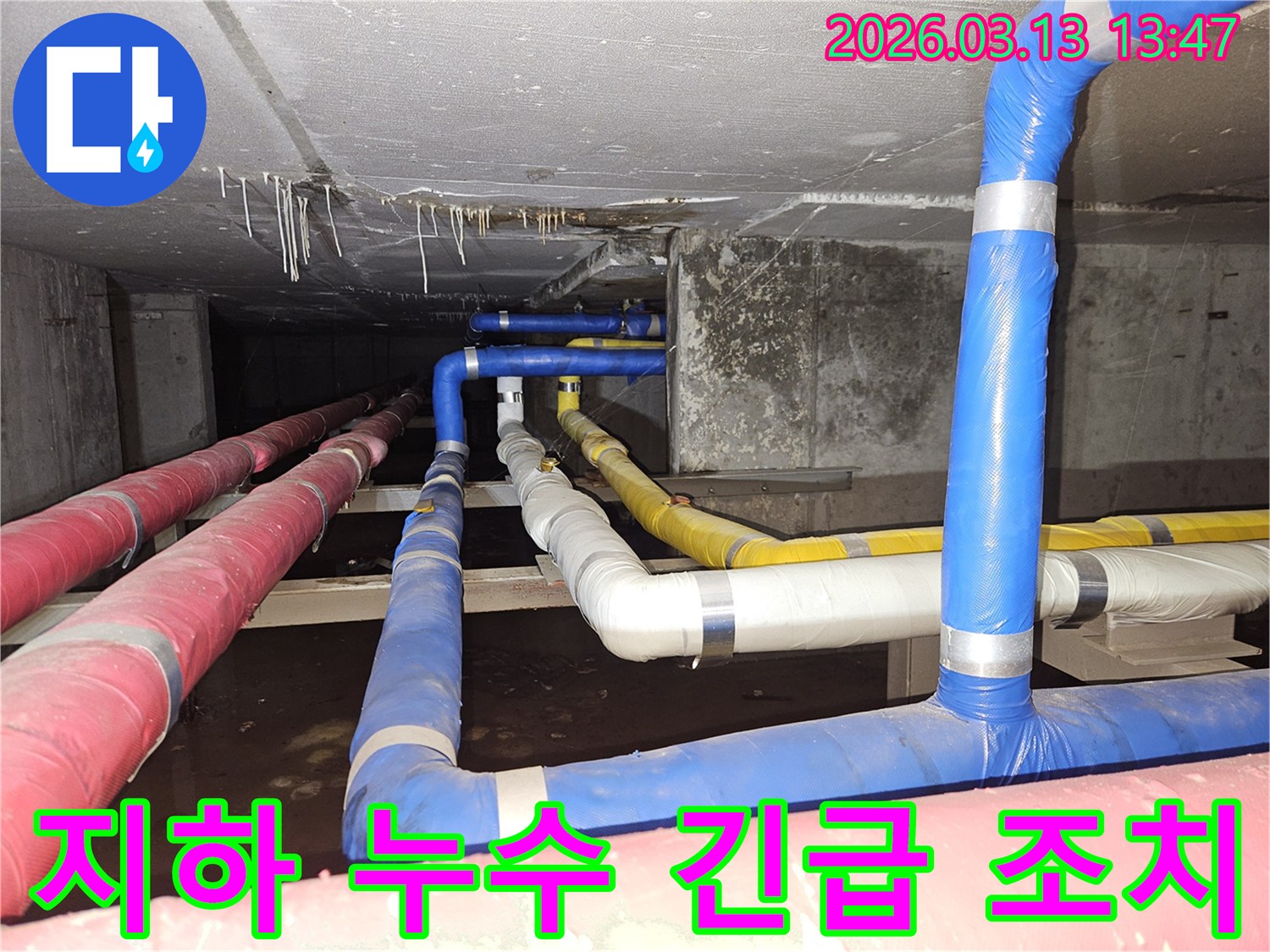 지하-공간의-복잡하게-연결된-배관들에서-발생한-누수-문제를-정확히-진단하고-긴급하게-조치하는-전문가의-모습