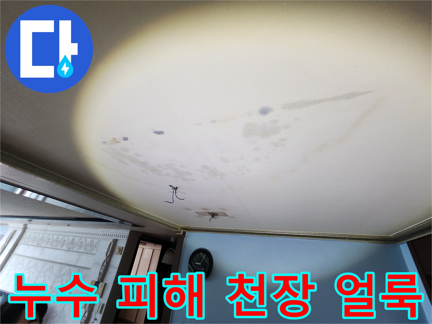 아래층 거실 천장-물기가 스며들어 넓게 퍼진 누수 흔적