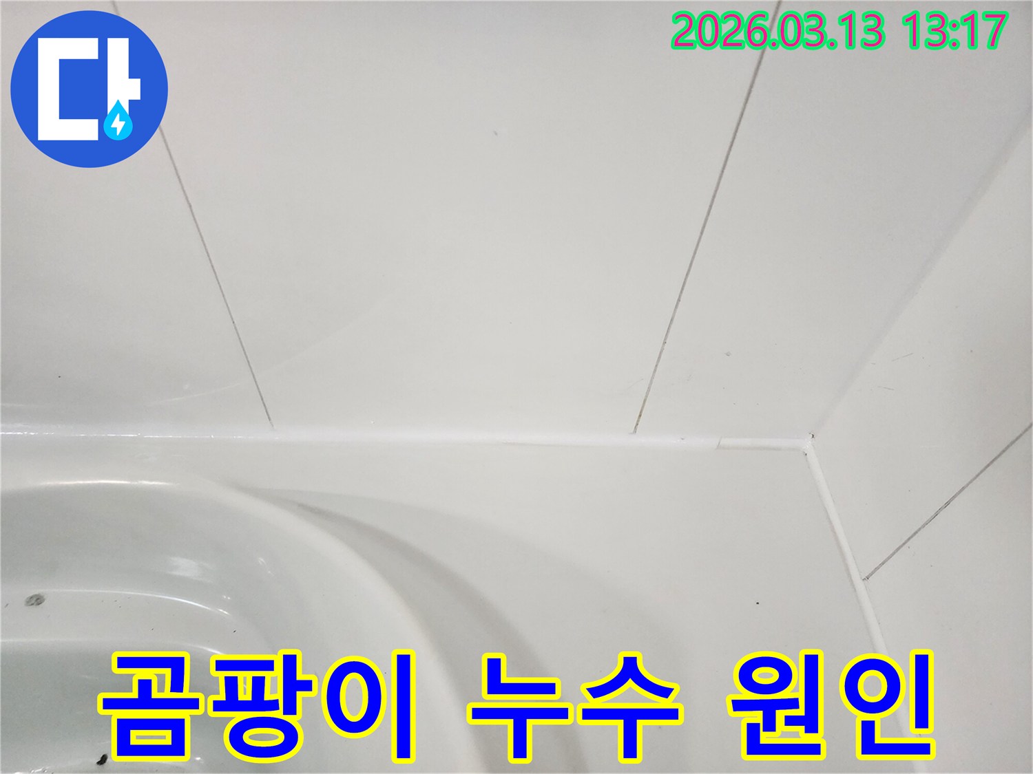 욕실-벽면과-욕조-이음새에-발생한-곰팡이가-누수와-연관될-수-있음을-설명하며-탐지하는-모습입니다