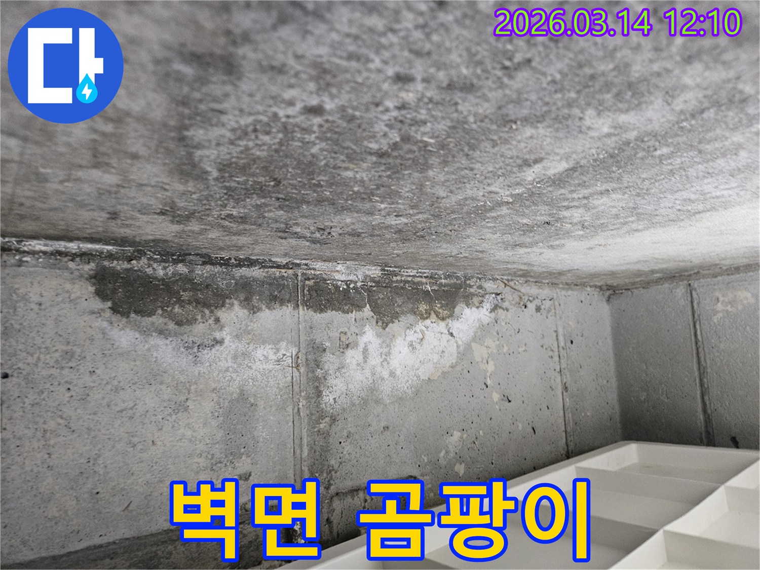 콘크리트-벽면과-천장-경계에서-발생한-누수로-인한-습기와-곰팡이-번식