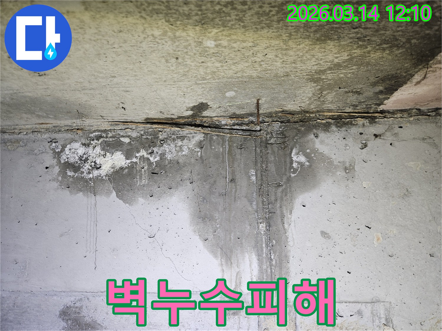 콘크리트 벽면에 물이 흐르고-오랜 누수로 인해 얼룩진 자국과 습기가 가득한 현장