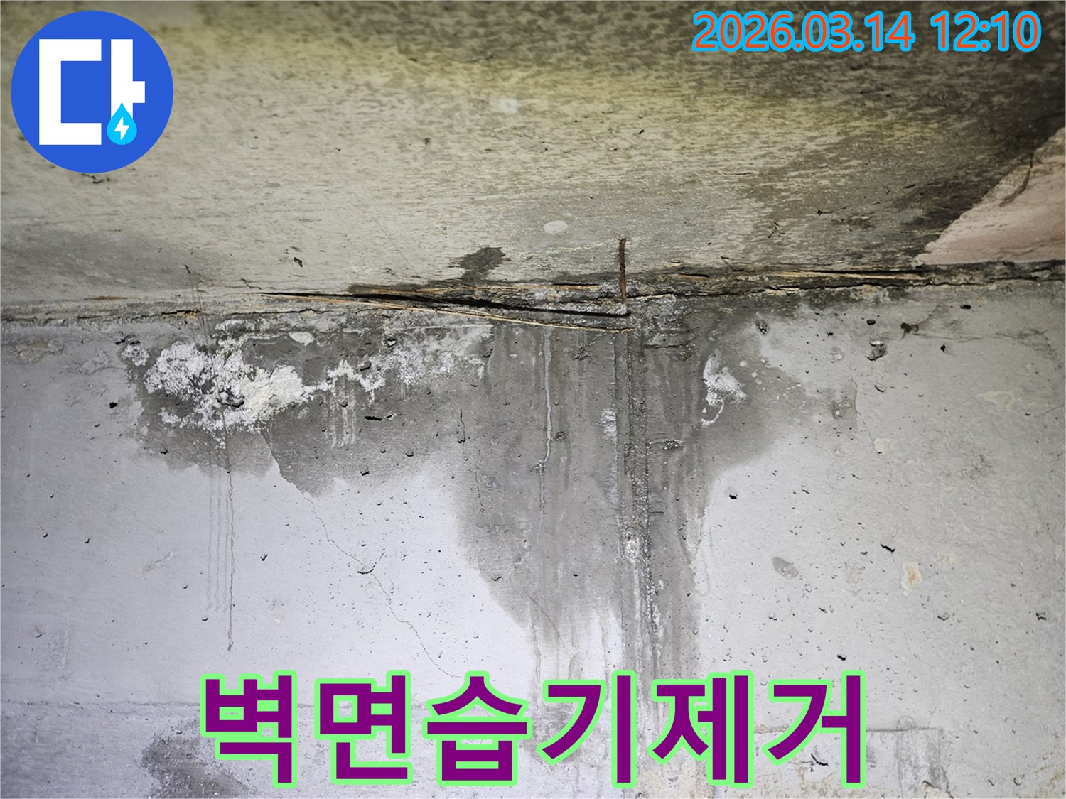 콘크리트 벽면에 물이 흐르고-오랜 누수로 인해 얼룩진 자국과 습기가 가득한 현장
