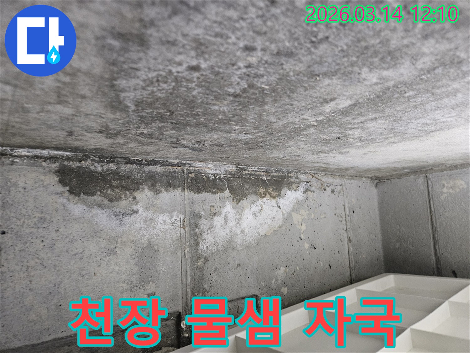 콘크리트-천장과-벽면-경계에서-발생한-물샘-자국과-오염-현상