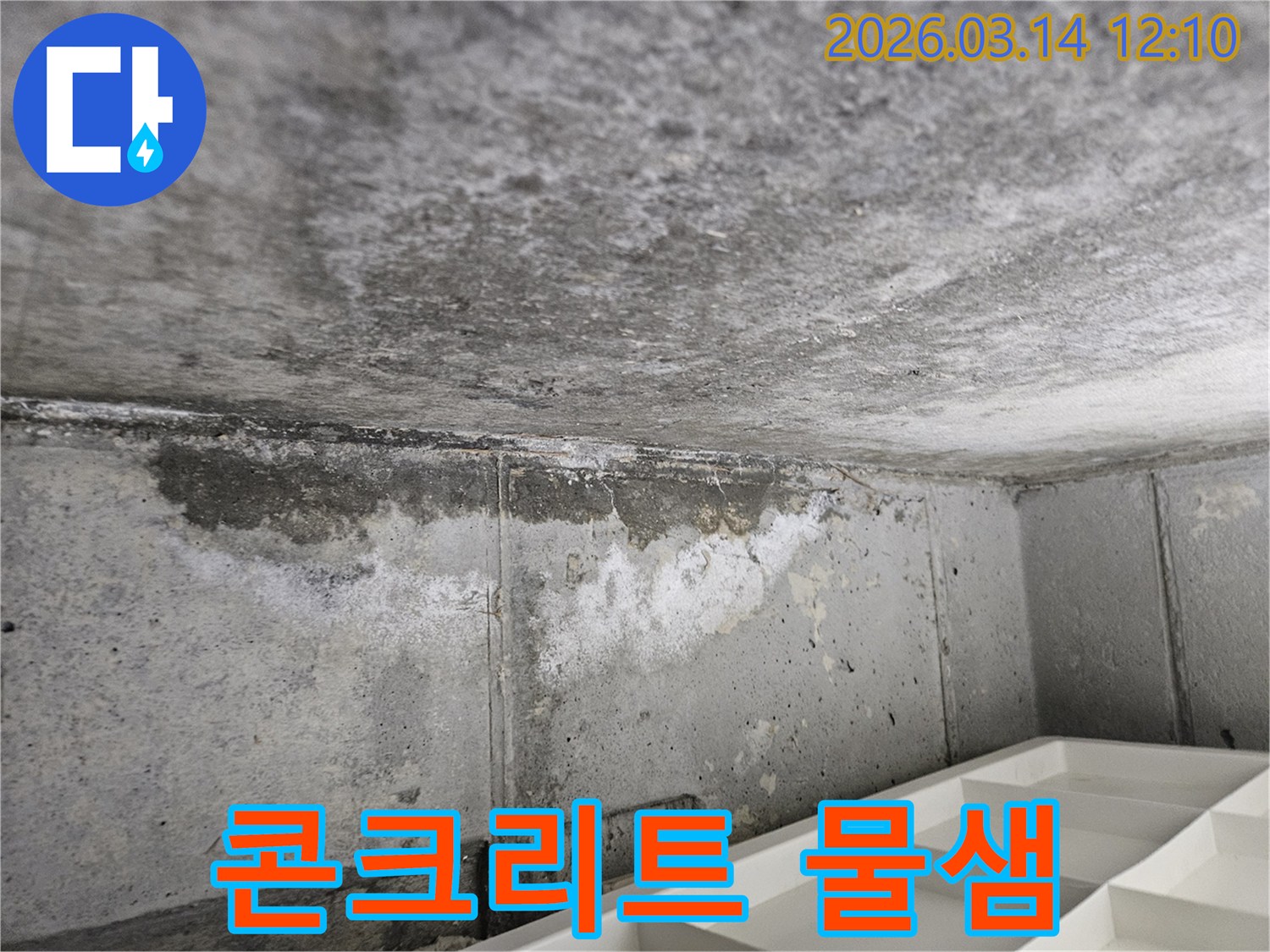 콘크리트-천장과-벽면-경계에서-발생한-물샘-현상과-습기-오염