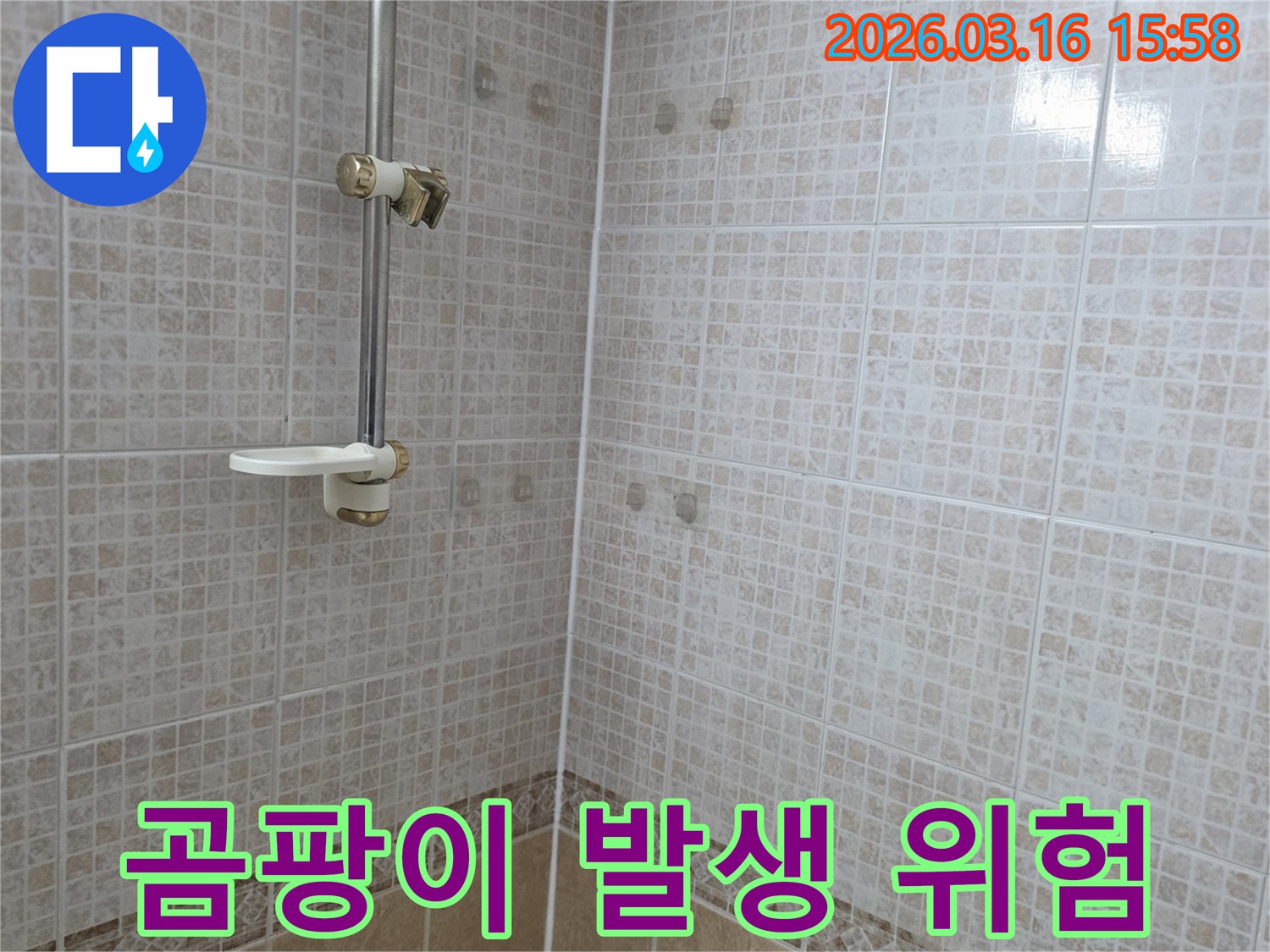 욕실 천장 타일에 물이 새어 생긴 얼룩과-곰팡이 발생 위험을 누수 전문가가 경고하는 모습