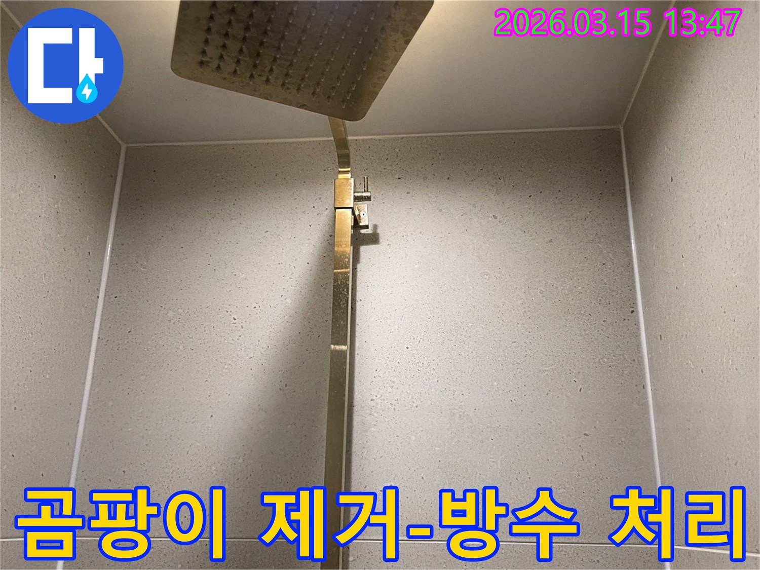 샤워기 주변 욕실 벽면에-발생한 곰팡이를 제거하고-방수 처리하는 현장