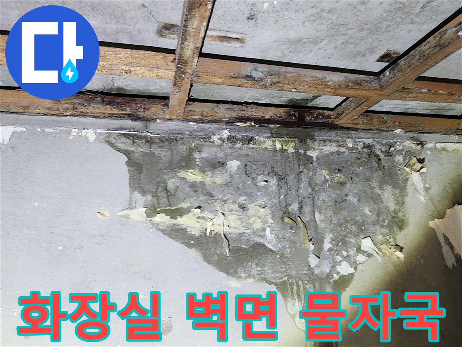 양천구-화장실-천장-벽면-물자국과-누수-흔적-사진