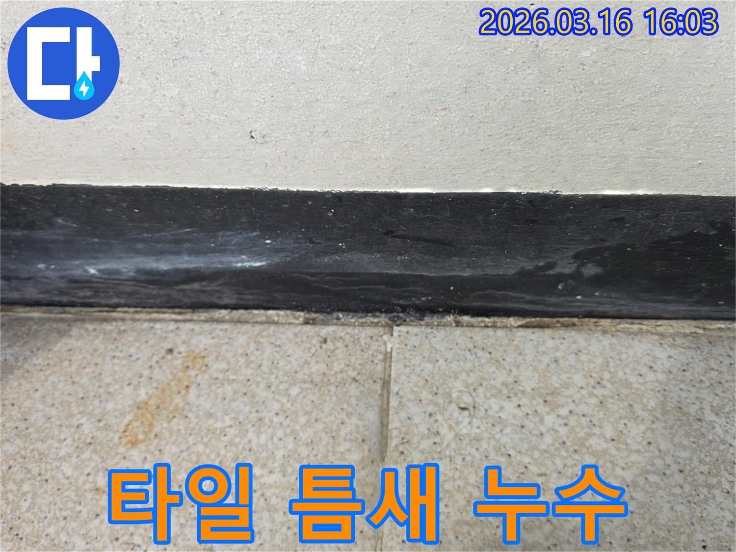 타일 틈새와 걸레받이 주변에 물기가 관찰되어 누수 방수 시공이 시급해 보입니다