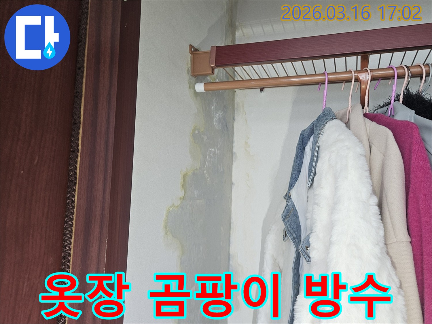 누수로 인해 옷장 벽면과 바닥에 물기가 스며들고-누렇게 변색된 곰팡이가 넓게 퍼져 있는 모습