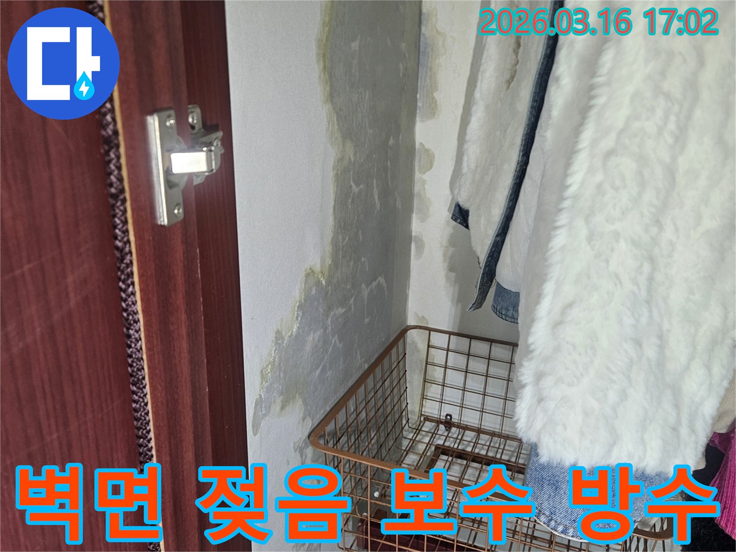 벽면 하단에- 물이 스며들어- 젖은 흔적과- 곰팡이가 발생한- 누수 현장