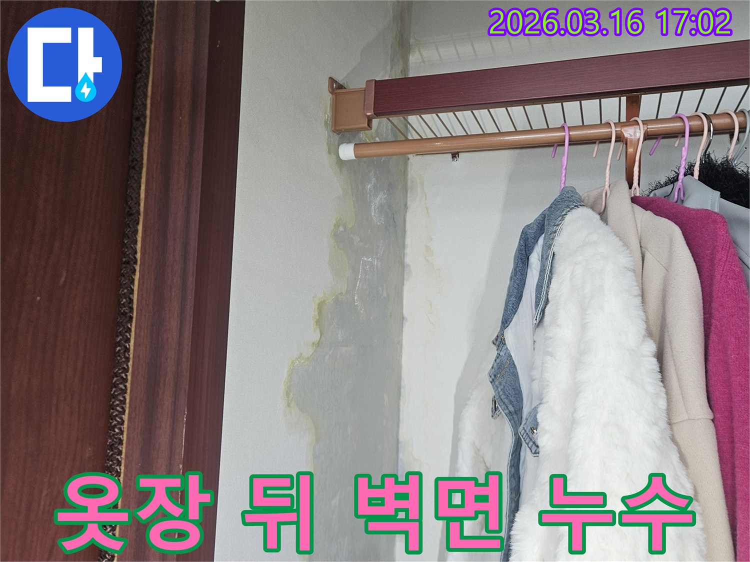 옷장 내부-벽면 하단부에-누수로 인한-얼룩과 습기가-넓게 퍼져있는 모습