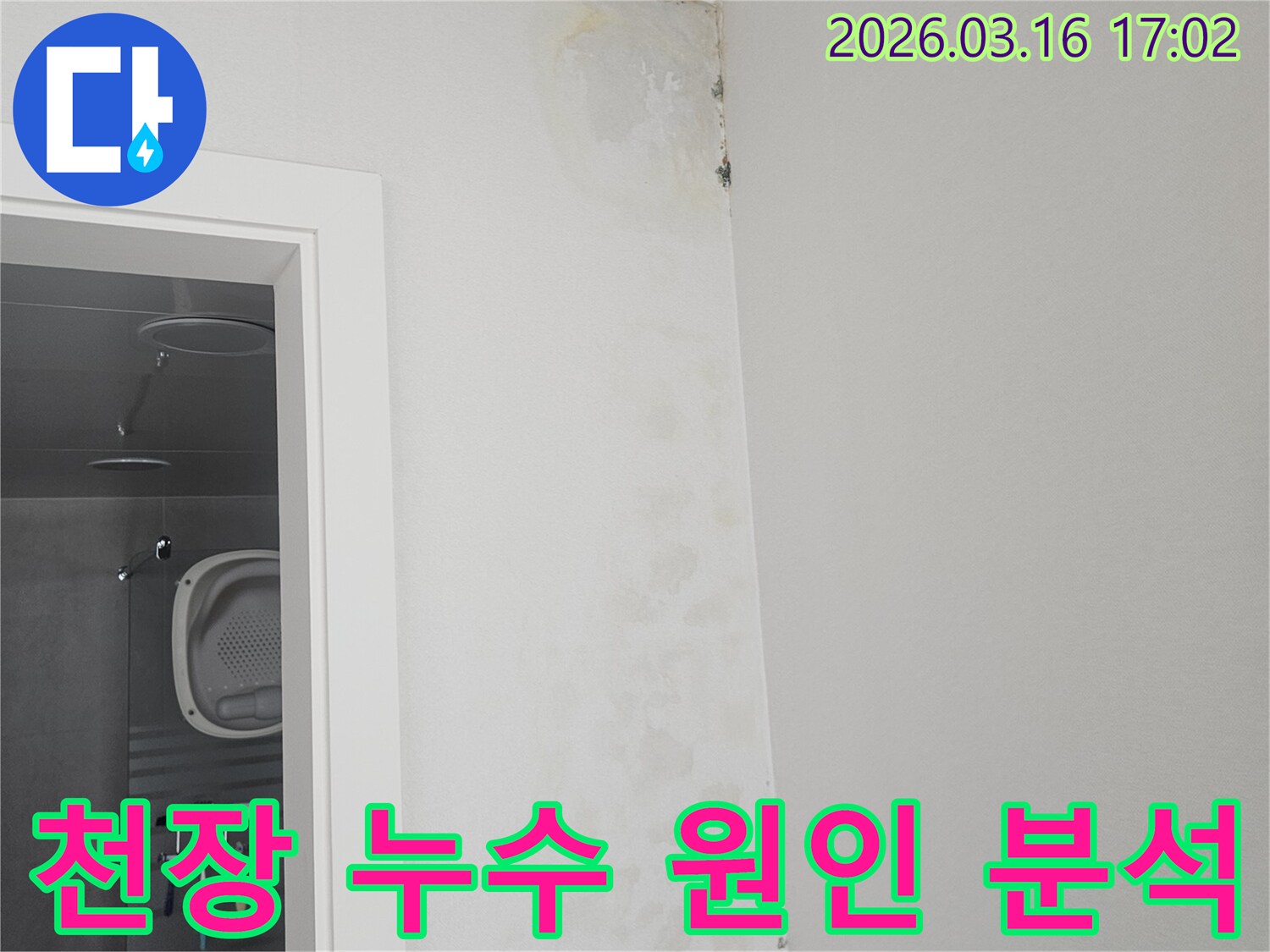 욕실 천장 모서리에 발생한 누수-얼룩과 곰팡이를 통해 원인을 분석하는 현장 사진입니다