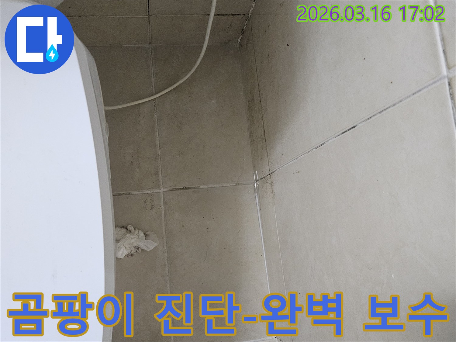 천장과 벽면 타일에 검은 곰팡이가 넓게 퍼져있으며-이는 누수로 인한 습기 축적의 명확한 증거입니다