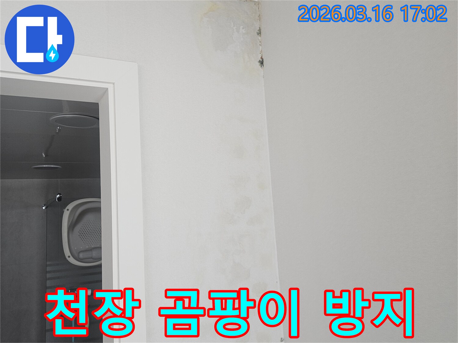 천장과 벽이 만나는-모서리 부분에-누수로 인해 발생한-곰팡이를-방지하고-재발을 막기 위한-보수 전의 모습입니다.