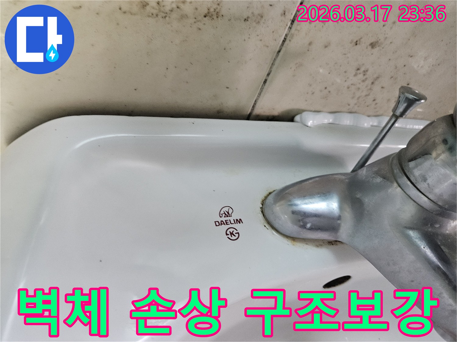 대림 세면대 뒤편 벽에- 심각하게 번식한 곰팡이가- 벽체 손상을 시사하며- 구조 보강의 필요성을 보여줍니다