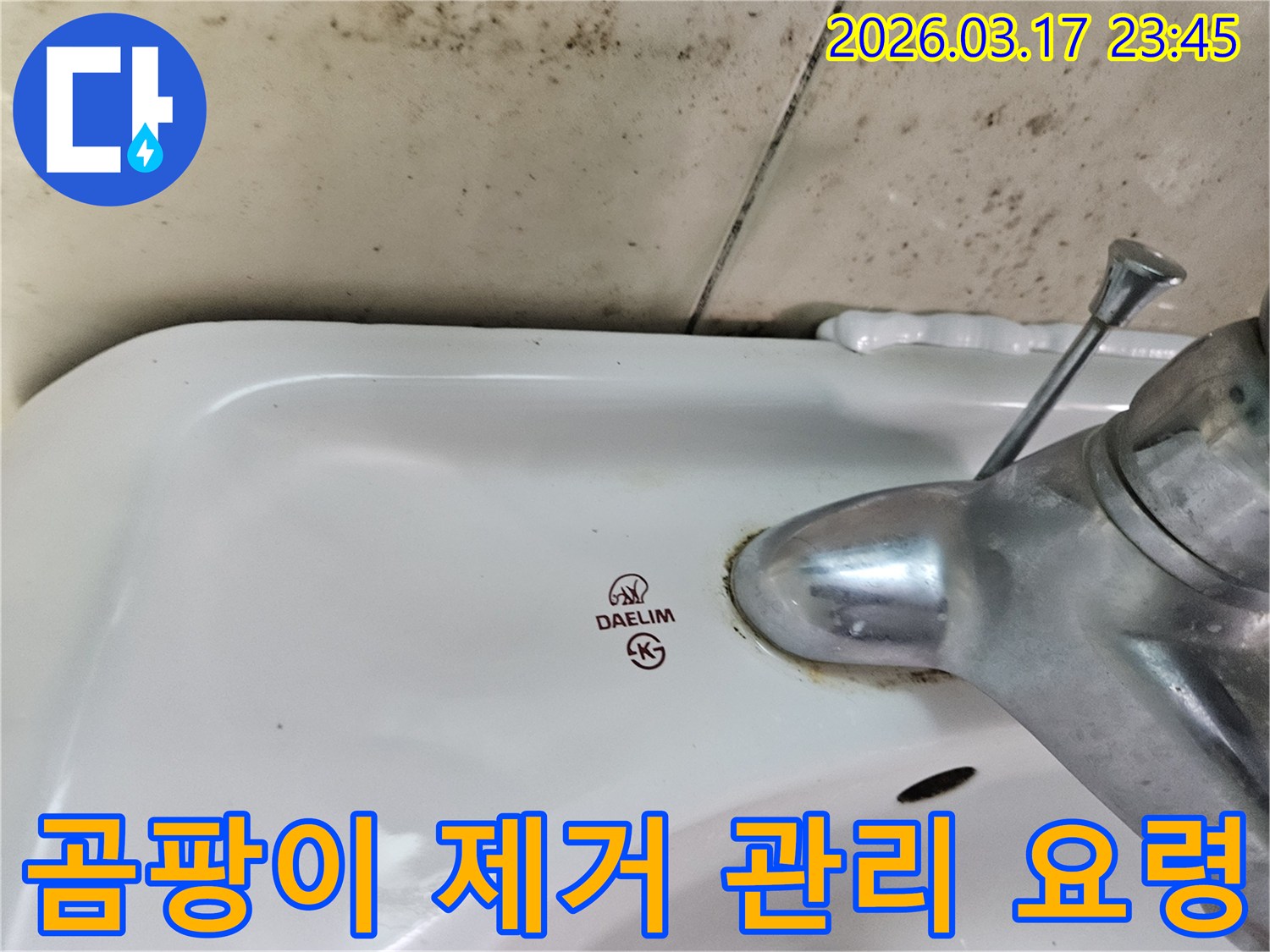 대림 세면대 수도꼭지 주변의 물때와-벽면에 넓게 번진 검은 곰팡이가-곰팡이 제거 후 관리 요령이 필요한 누수 현장을 보여줍니다.