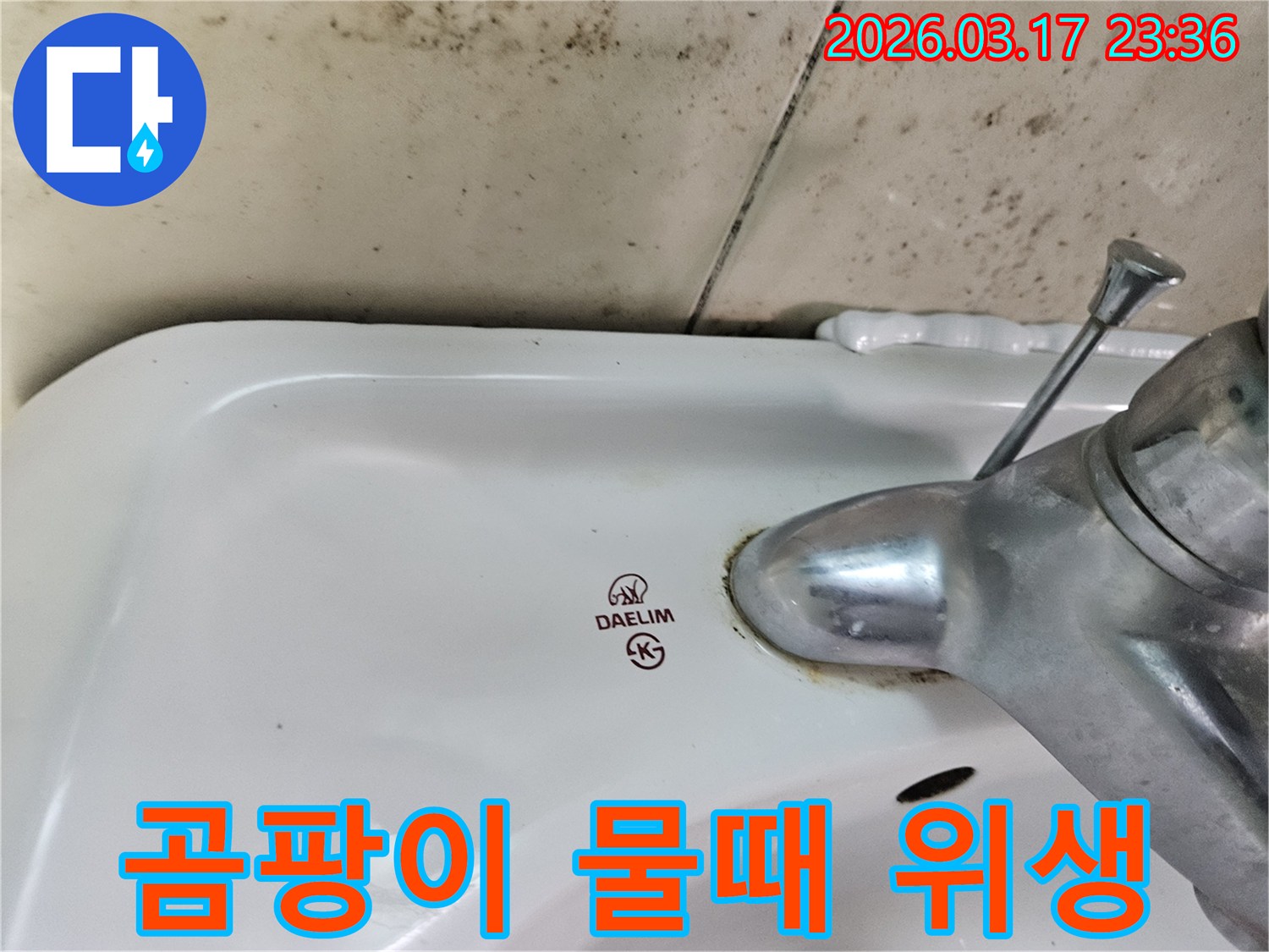 대림 세면대 주변 벽에- 심하게 번식한 곰팡이와- 수도꼭지 하단에- 찌든 물때가- 위생적인 욕실 환경의- 필요성을 보여줍니다