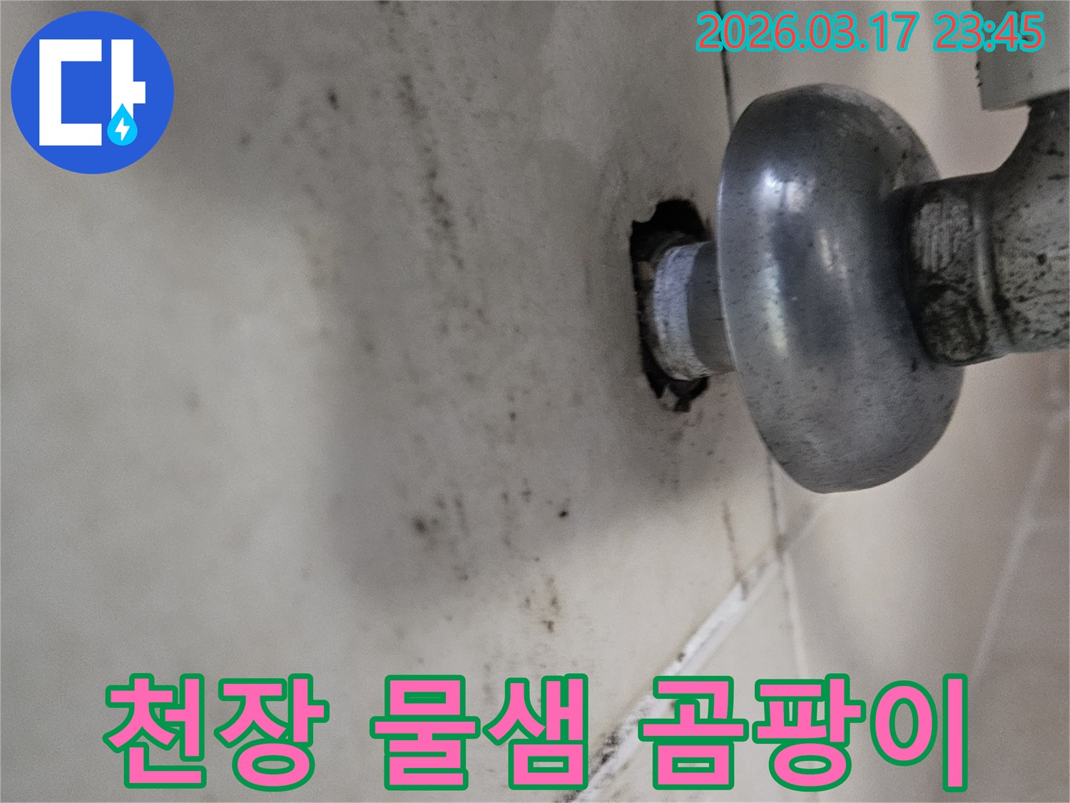 배관 연결 부위에서 시작된 누수-천장으로 번진 곰팡이 흔적입니다