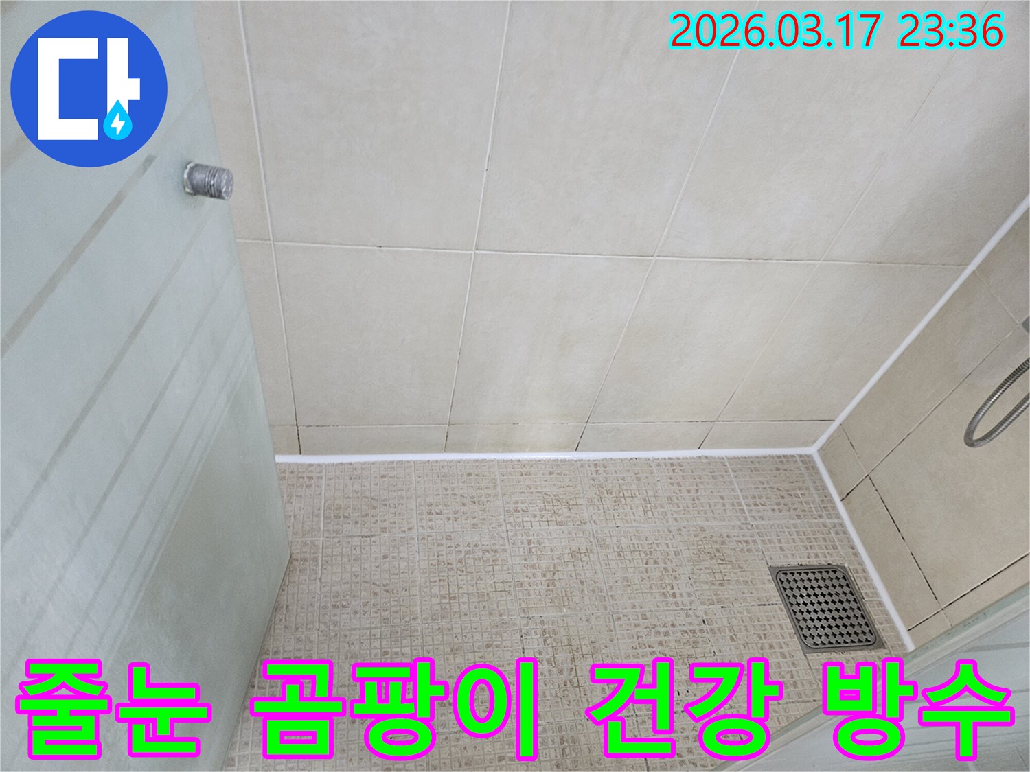 욕실 바닥 타일의-줄눈에 생긴 곰팡이를 제거하고-새로운 방수 실리콘으로-건강하게 방수 처리한-시공 완료 사진입니다.