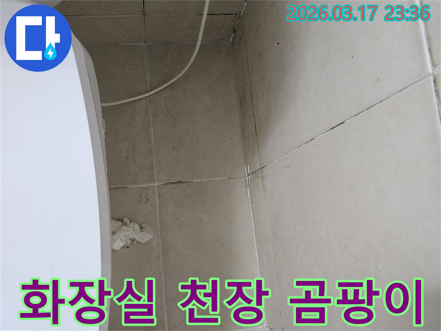 이-이미지는-화장실-천장-타일과-벽면-모서리에-발생한-심각한-곰팡이와-오염을-보여주며-이는-욕실-누수로-인한-지속적인-습기-침투를-의미합니다