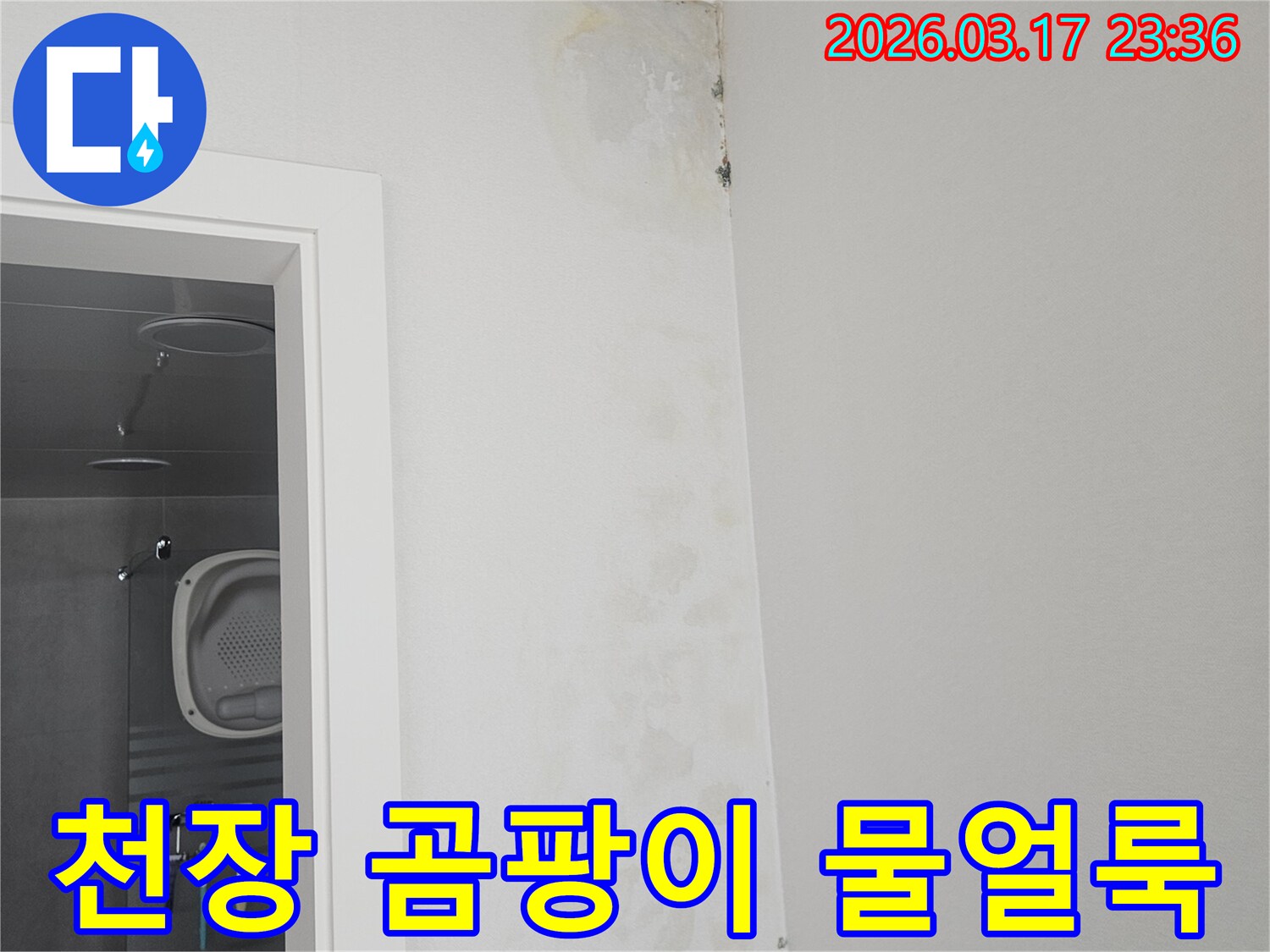 천장-모서리에-발생한-곰팡이와-물-얼룩-확인