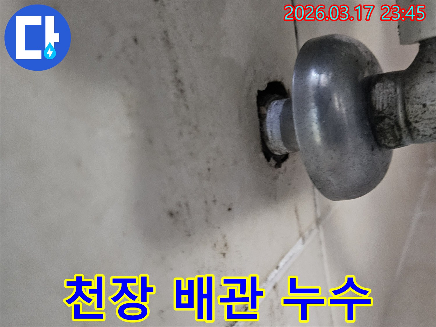 천장 배관 연결부에서 물이 새어-곰팡이와 물때가 심하게 발생한 모습입니다